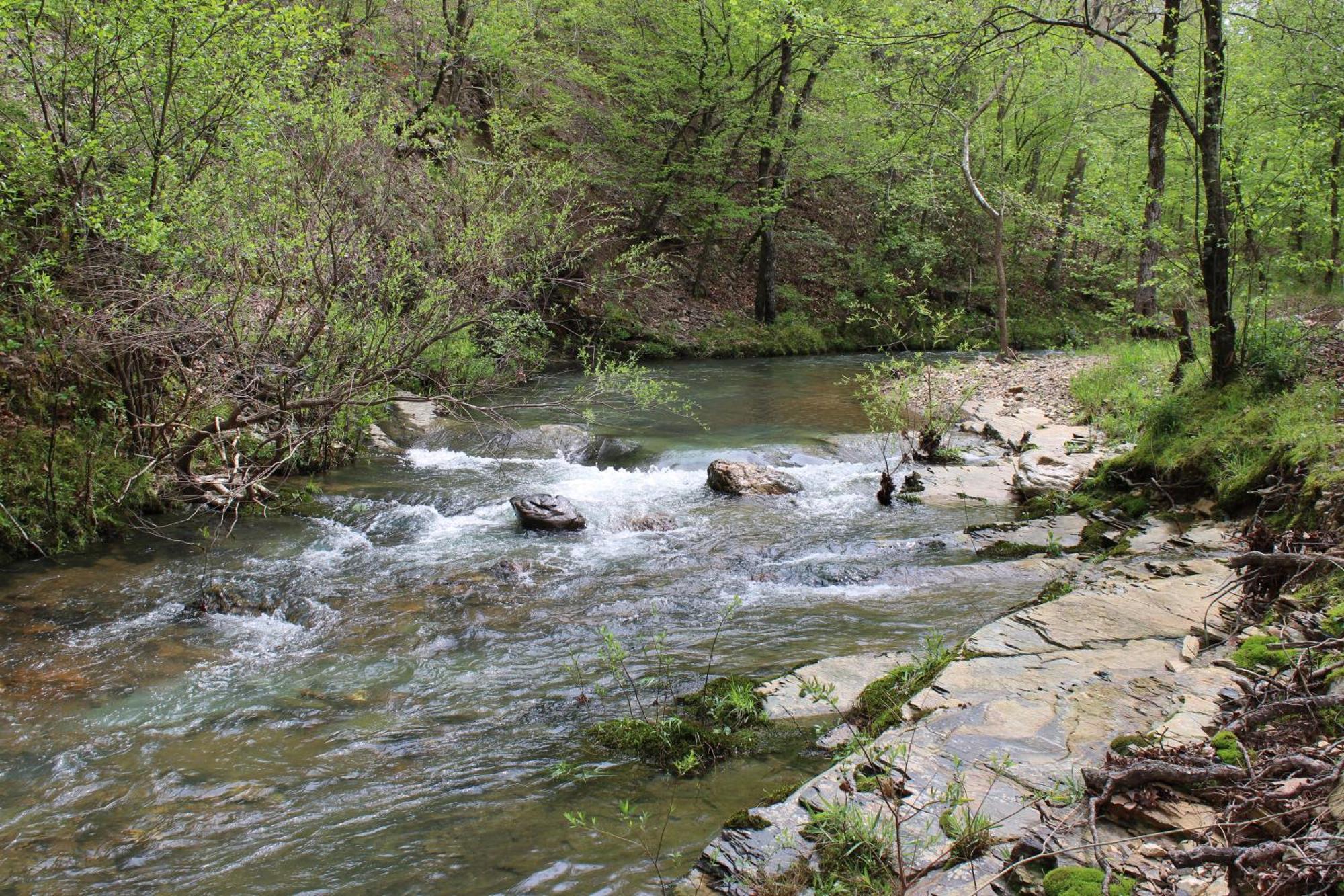 הוילה הוט ספרינגס 132 Catherine Park #1 Cozy Romantic Cabin On The Creek מראה חיצוני תמונה